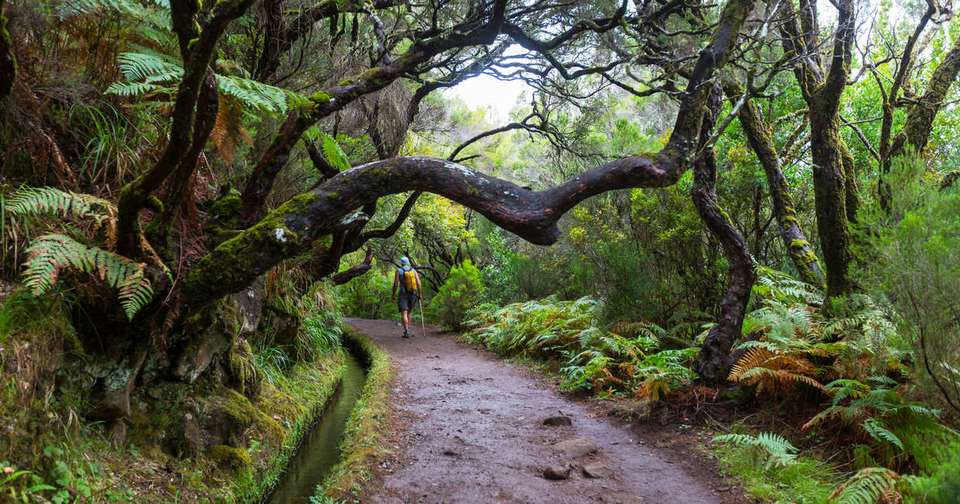 Walking in Madeira - Explore - Portugal - Image 11