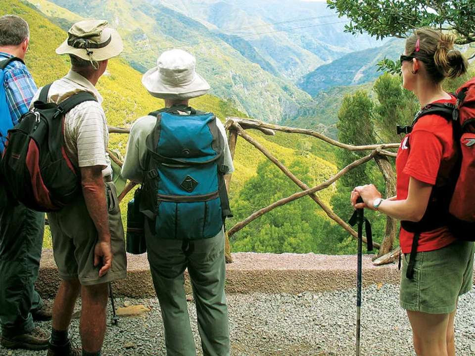 Walking in Madeira - undefined - Image 13