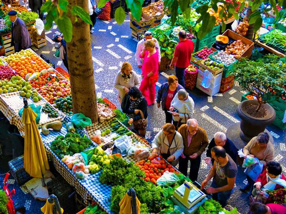 Walking in Madeira - undefined - Image 9