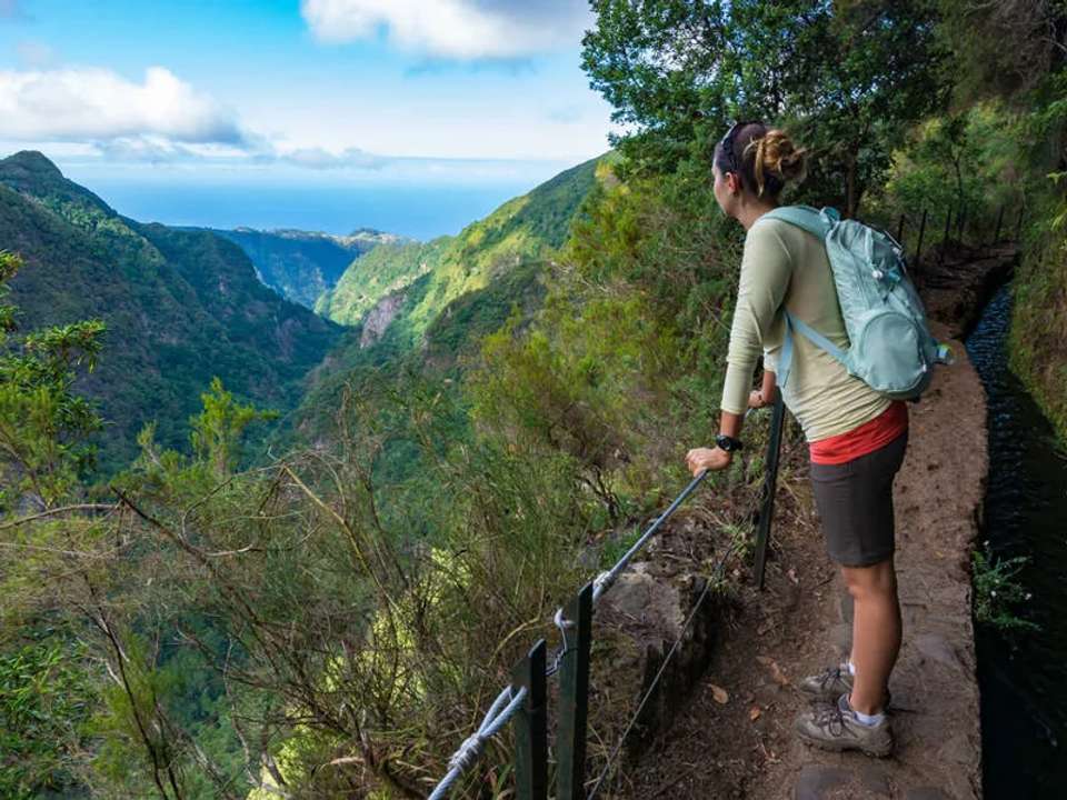 Walking in Madeira - undefined - Image 7