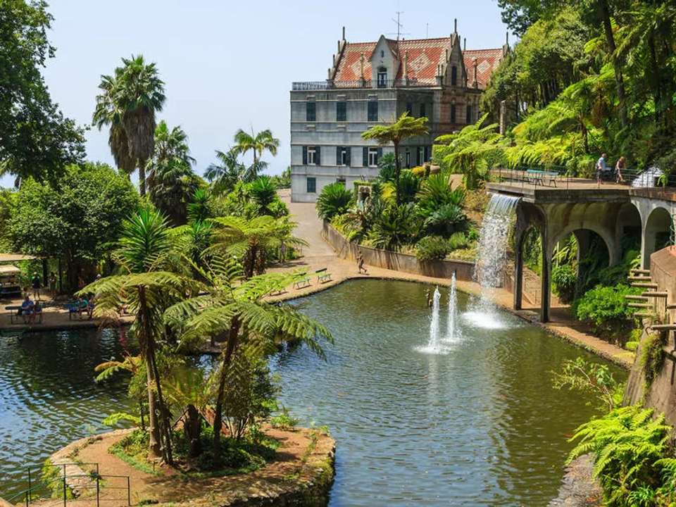 Walking in Madeira - undefined - Image 6