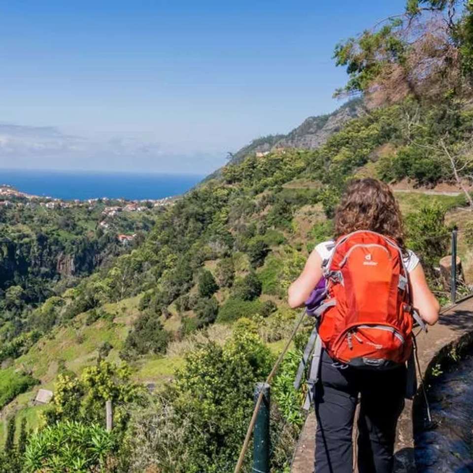 Walking in Madeira - undefined - Image 5