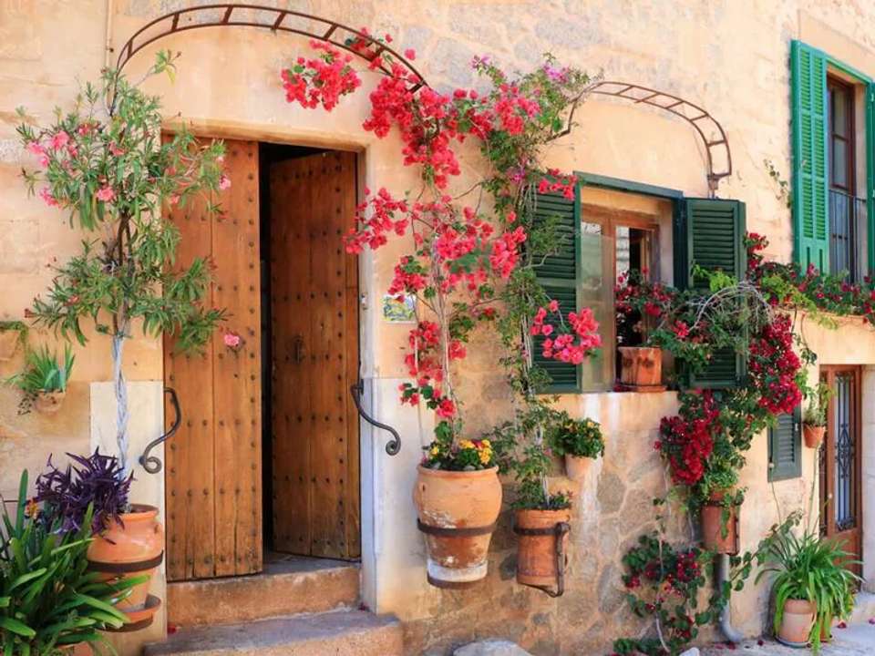 Walking in Mallorca - undefined - Image 12