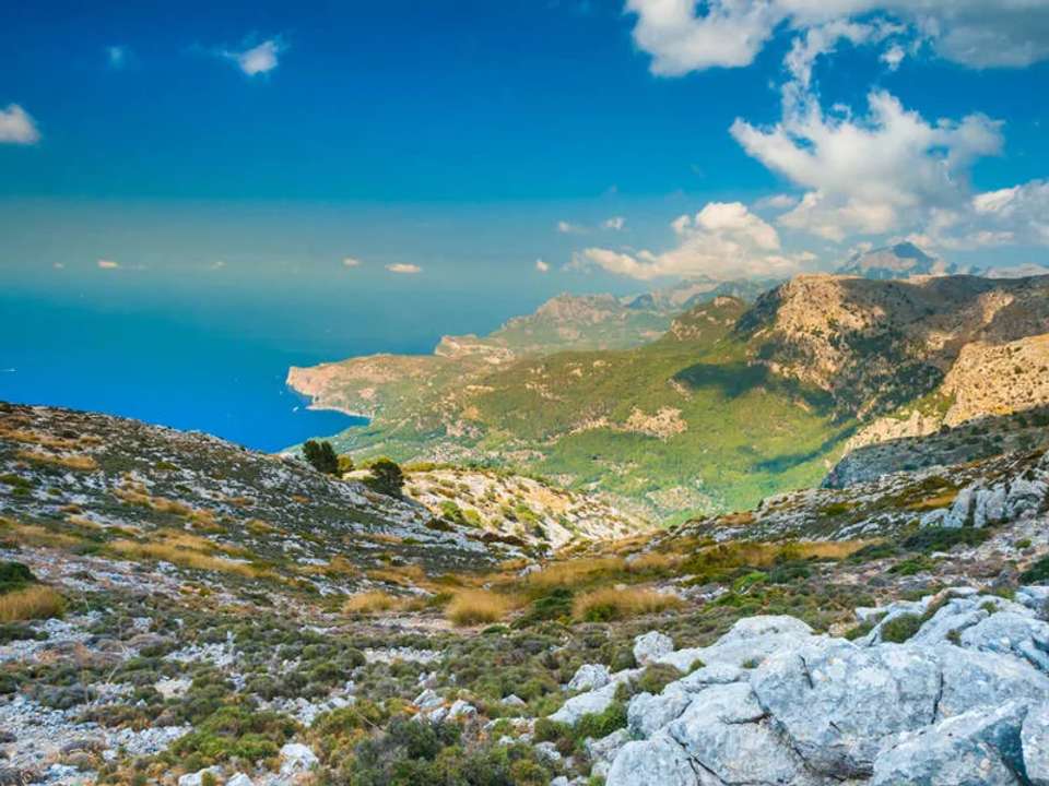 Walking in Mallorca - undefined - Image 9