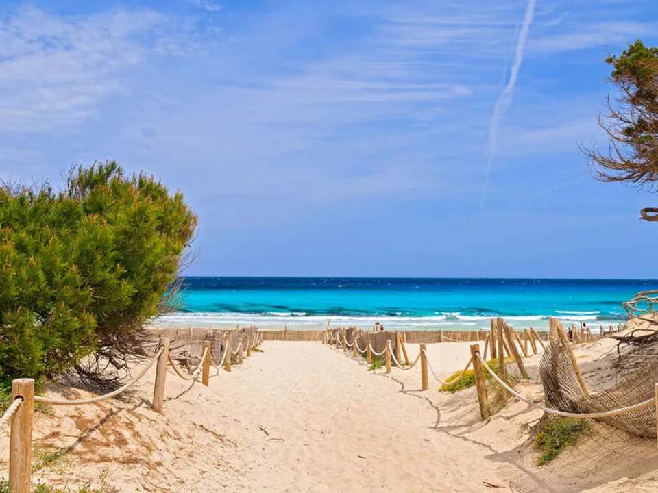 Walking in Mallorca - undefined - Image 8
