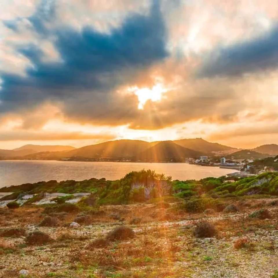 Walking in Mallorca - undefined - Image 4
