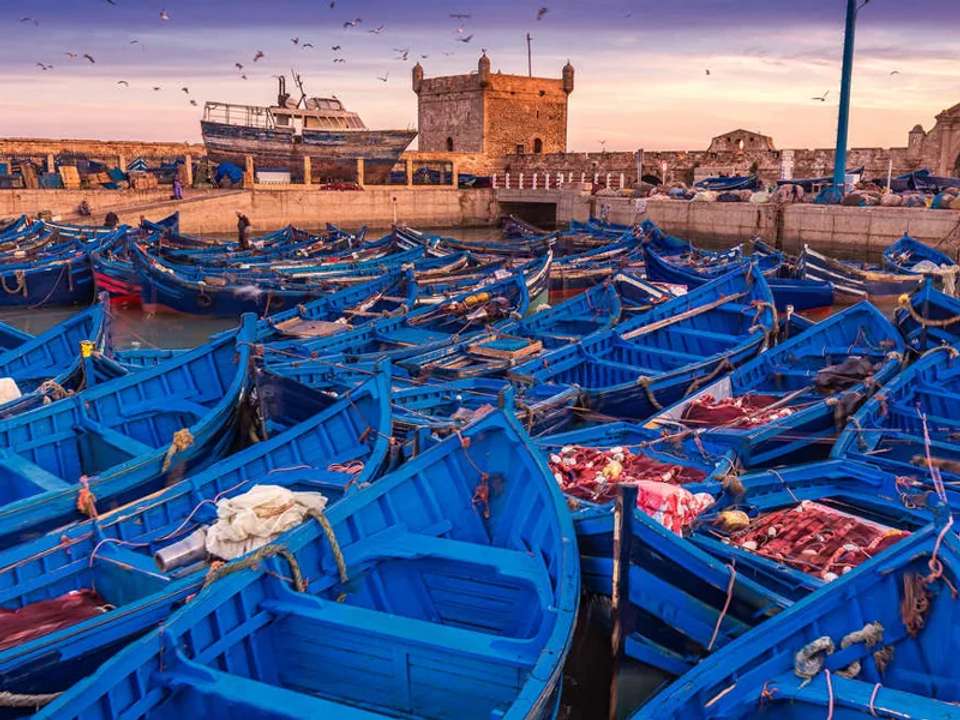 Walking in Morocco - Atlas to Atlantic - undefined - Image 6