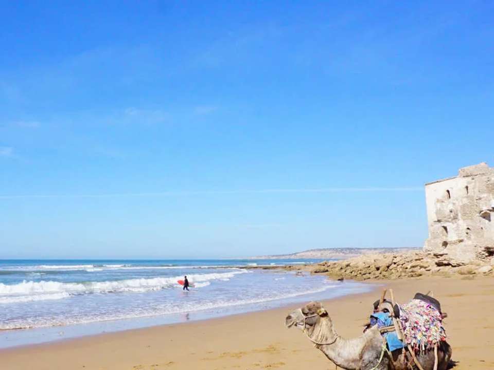Walking in Morocco - Atlas to Atlantic - undefined - Image 8