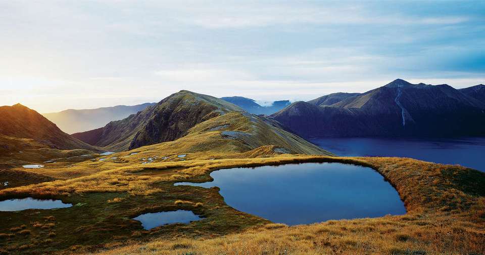 Walking in New Zealand - Explore - New Zealand - Image 2