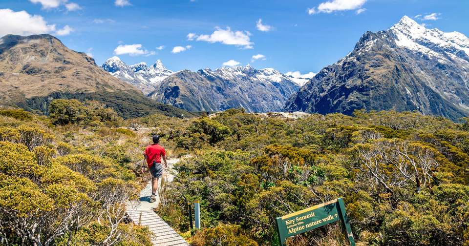 Walking in New Zealand - Explore - New Zealand - Image 11
