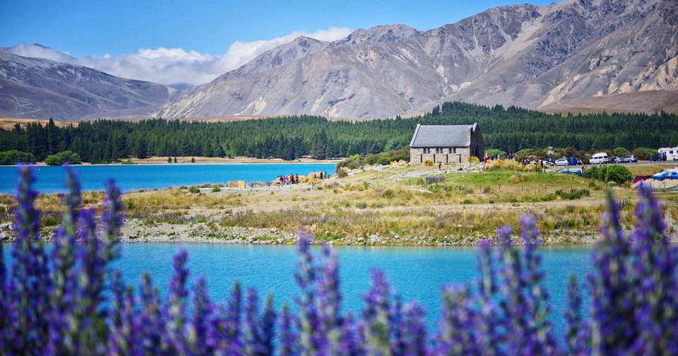 Walking in New Zealand - Explore - New Zealand - Image 12