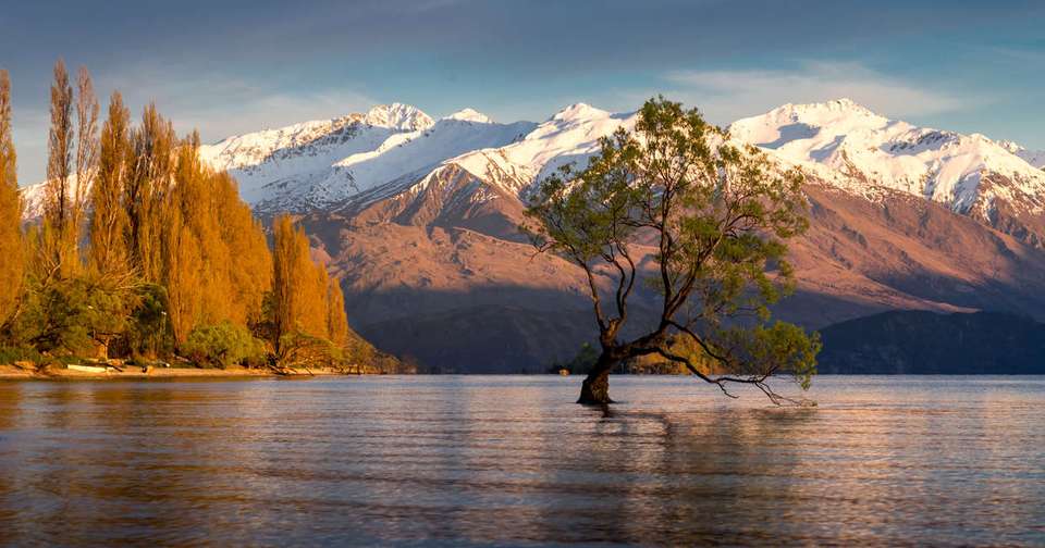 Walking in New Zealand - Explore - New Zealand - Image 14