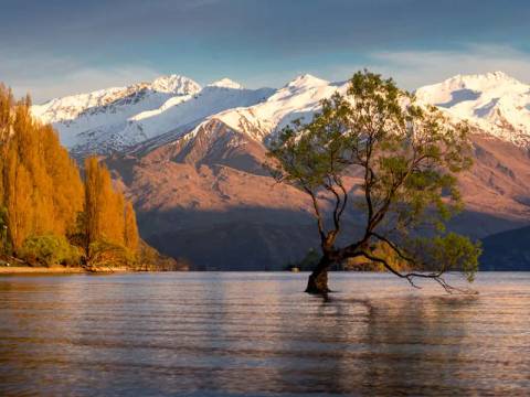Oceania Adventure Tour: Walking In New Zealand