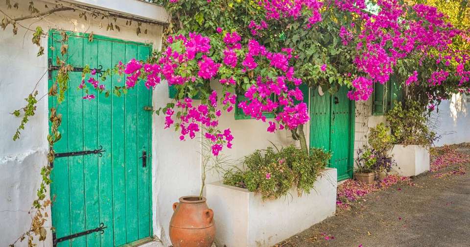 Walking in Northern Cyprus - Explore - Cyprus - Image 19