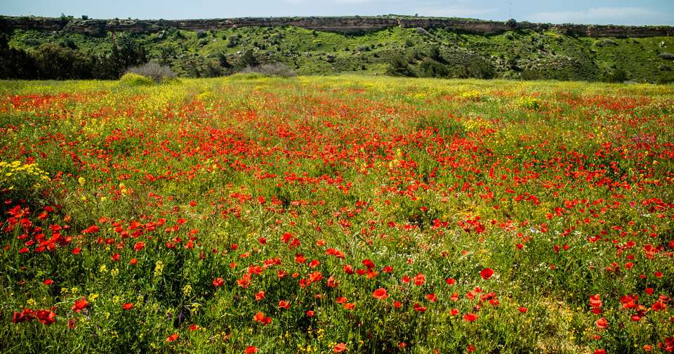 Walking in Northern Cyprus - Explore - Cyprus - Image 12