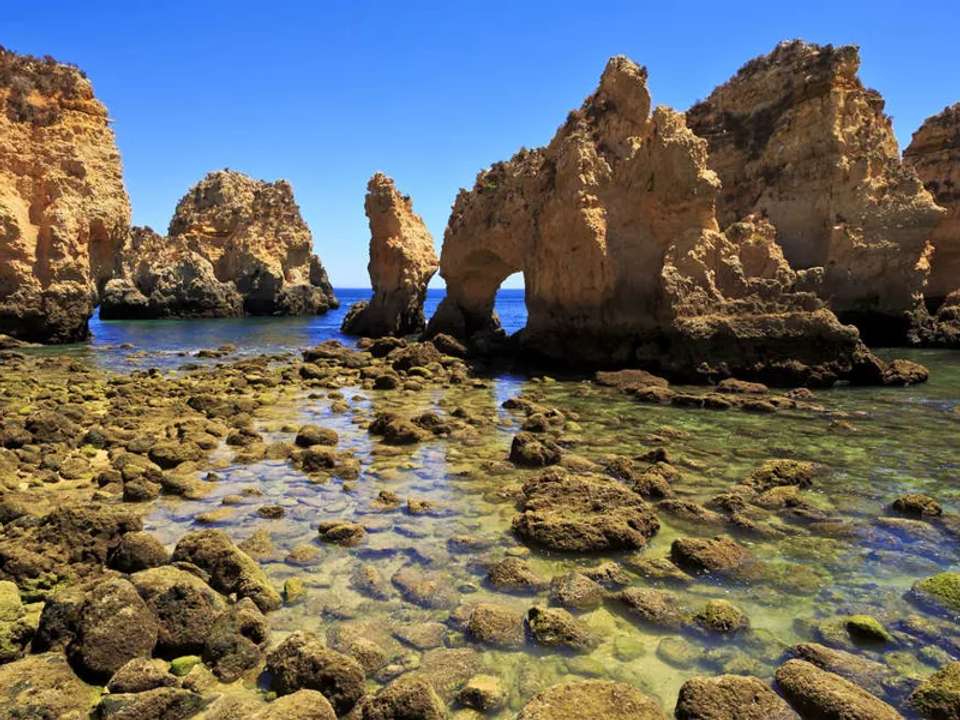Image 6 of 16