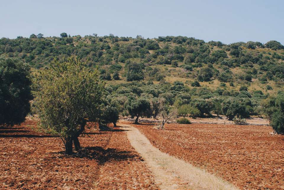 Walking in Puglia & Matera - Exodus Adventure Travels - Italy - Image 10