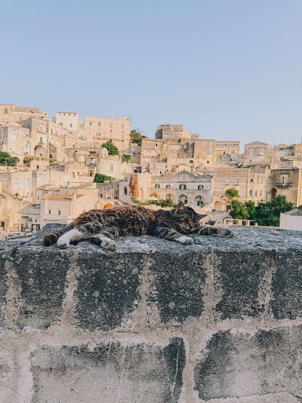 Walking in Puglia & Matera - Exodus Adventure Travels - Italy - Image 7
