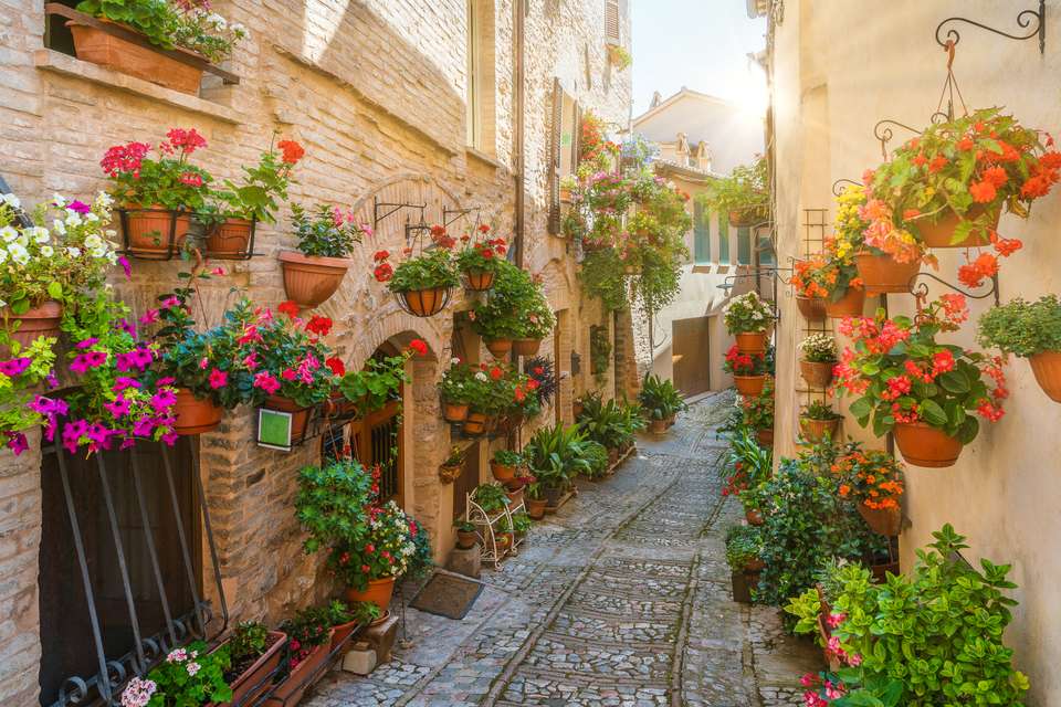 Walking in Rome, Assisi and Umbria - Premium Adventure - Exodus Adventure Travels - Italy - Image 10