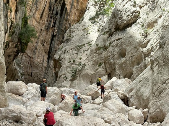 Image 4 of 20