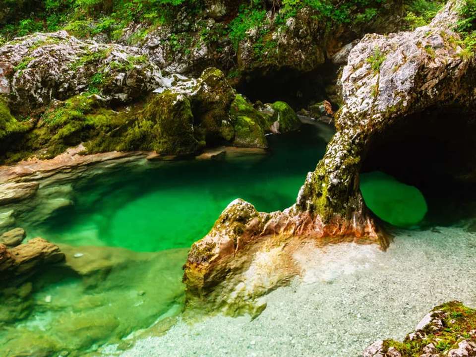 Walking in Slovenia - undefined - Image 10