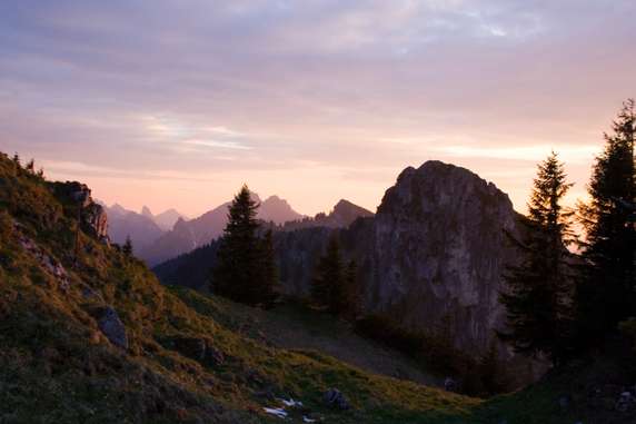 Image 4 of 9