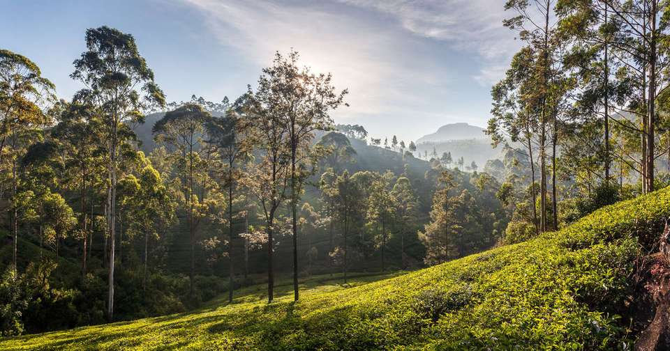 Walking in Sri Lanka - Explore - Sri Lanka - Image 6