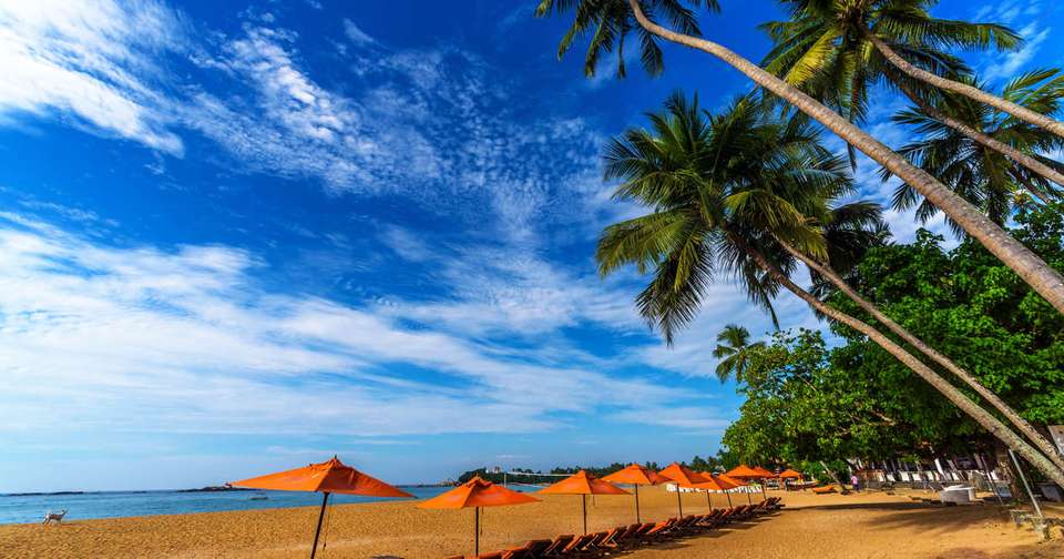 Walking in Sri Lanka - Explore - Sri Lanka - Image 7