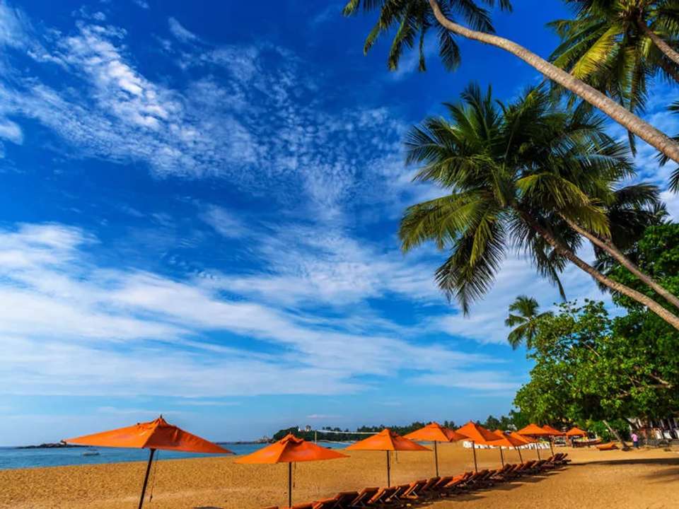 Walking in Sri Lanka - undefined - Image 16