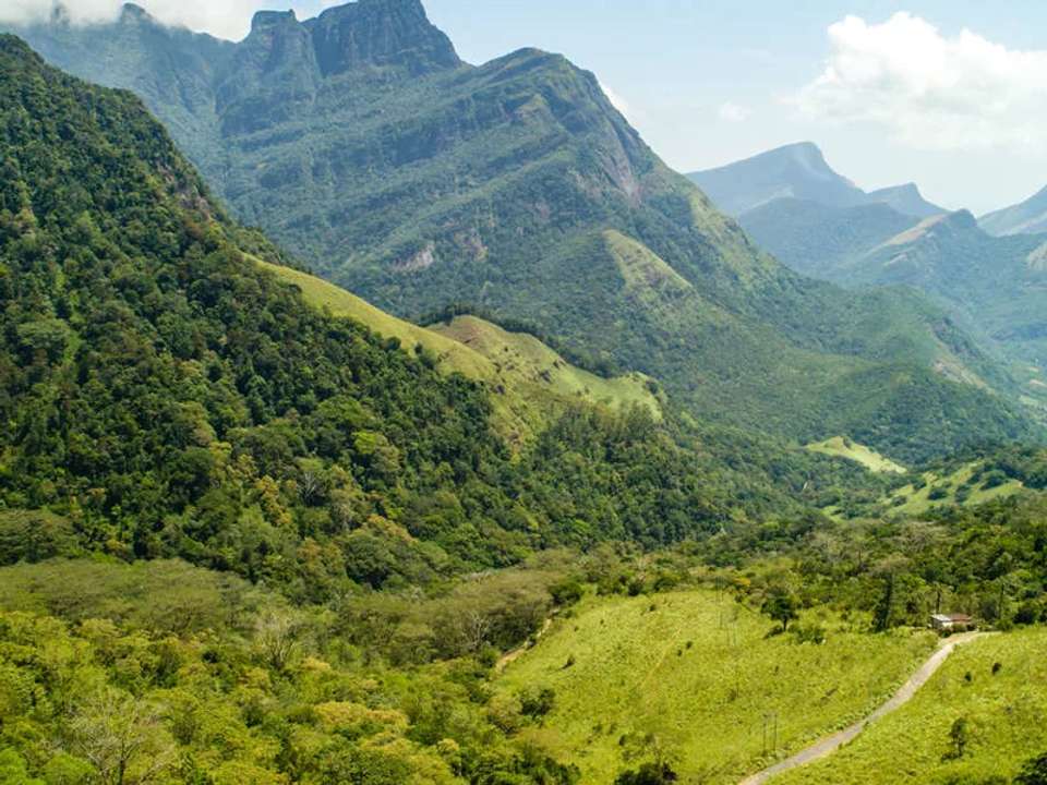 Walking in Sri Lanka - undefined - Image 10