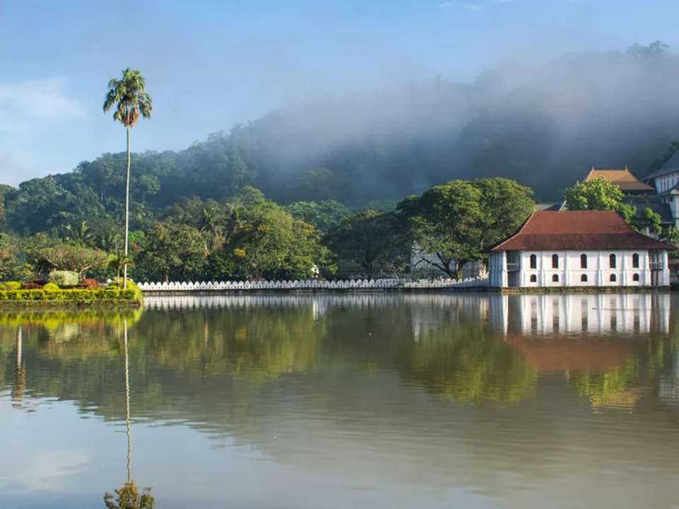 Walking in Sri Lanka - undefined - Image 8