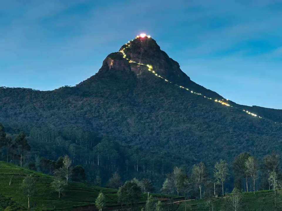 Walking in Sri Lanka - undefined - Image 6