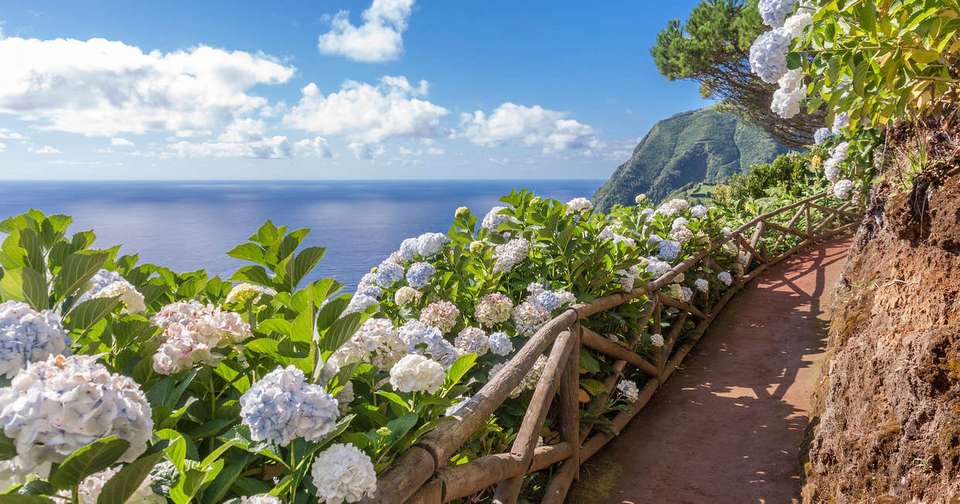 Walking in the Azores - Explore - Portugal - Image 9
