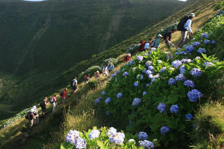 Walking in the Azores