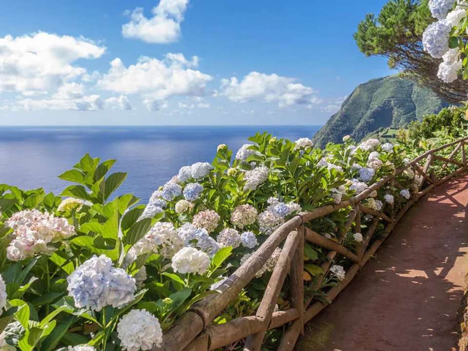 Walking in the Azores - undefined - Image 1