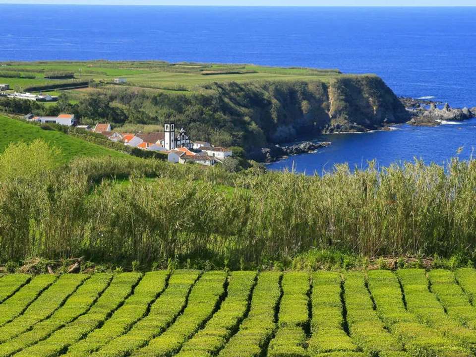 Walking in the Azores - undefined - Image 7