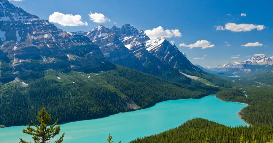 Walking in the Canadian Rockies - Explore - Canada - Image 4