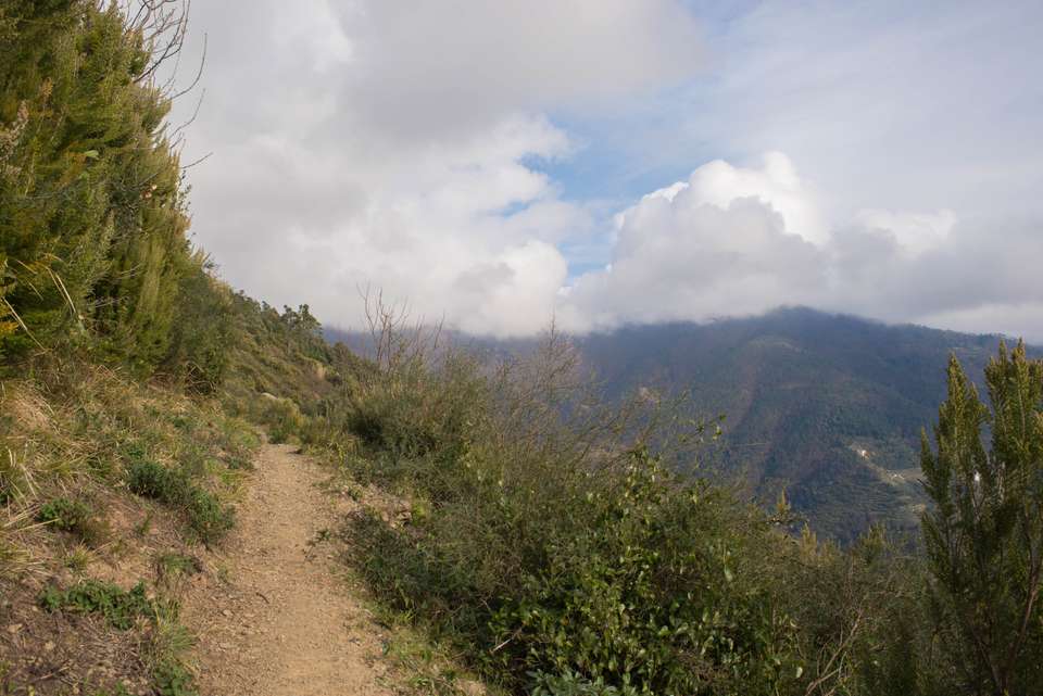Walking in the Cinque Terre and Portofino - undefined - Image 5