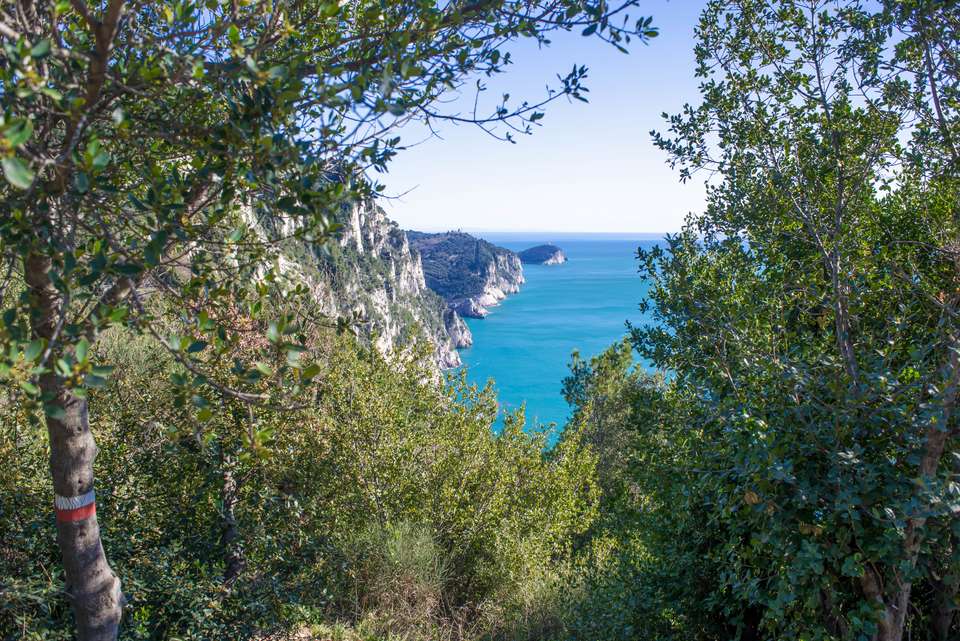 Walking in the Cinque Terre and Portofino - undefined - Image 6