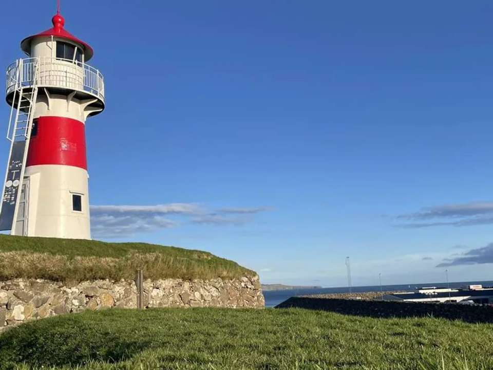 Image 8 of 20