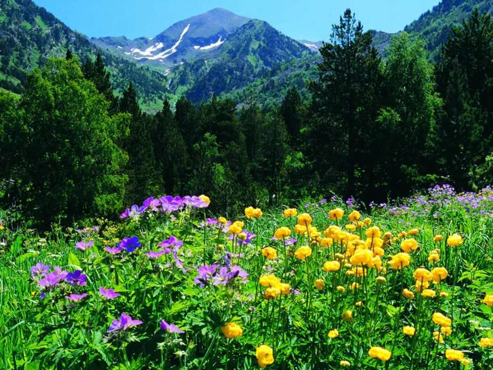 Walking in the Pyrenees - undefined - Image 9
