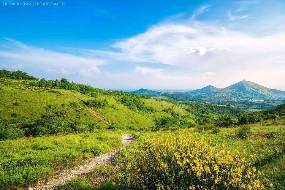 Walking in the Venetian Hills - undefined - Image 8