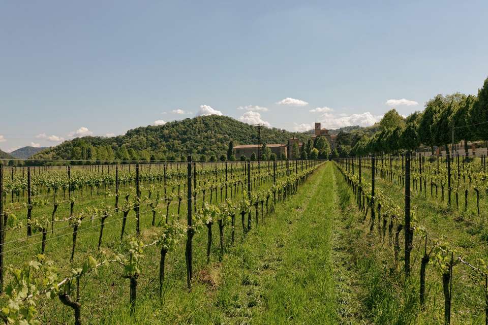 Walking in the Venetian Hills - undefined - Image 9
