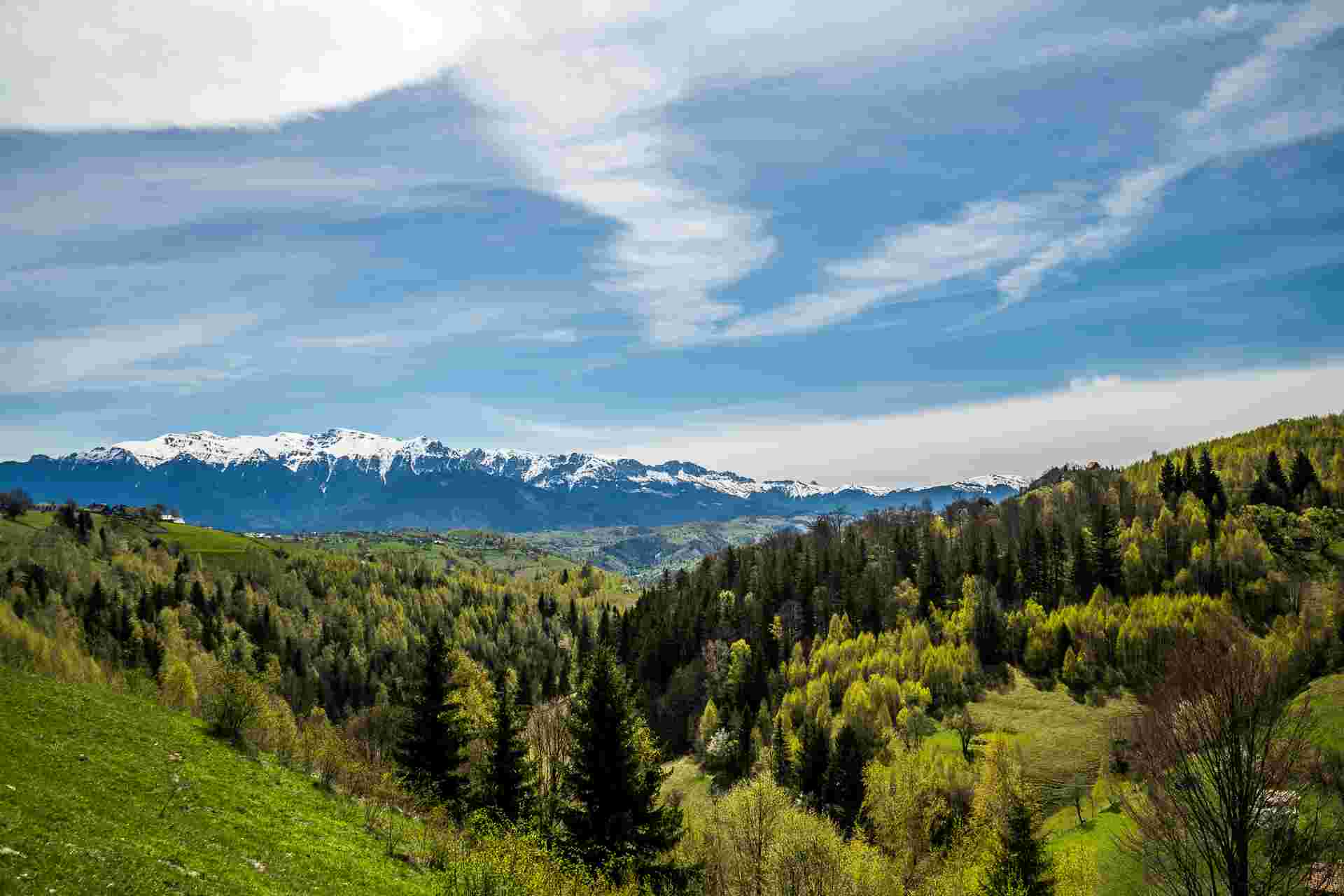 Walking in Transylvania and the Carpathian Mountains