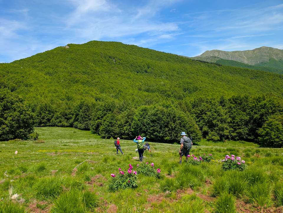 Walking Northern Tuscany - Exodus Adventure Travels - Italy - Image 21