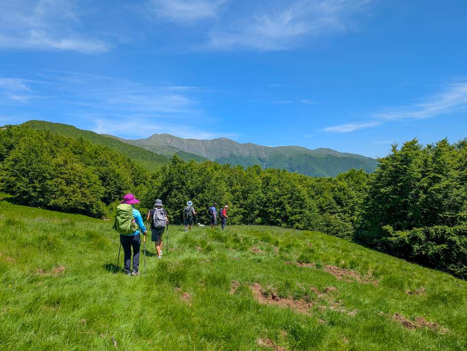 Walking Northern Tuscany - Exodus Adventure Travels - Italy - Image 12