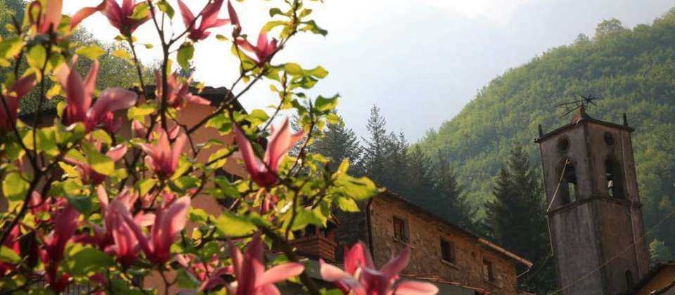 Walking in Tuscany's Apuane Alps - Walkers' Britain - Italy - Image 5