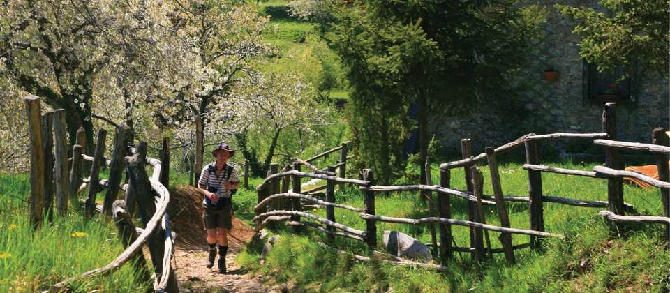 Walking in Tuscany's Apuane Alps - Walkers' Britain - Italy - Image 7