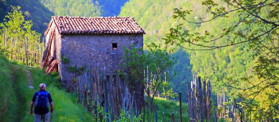Walking in Tuscany's Apuane Alps - Walkers' Britain - Italy - Image 8