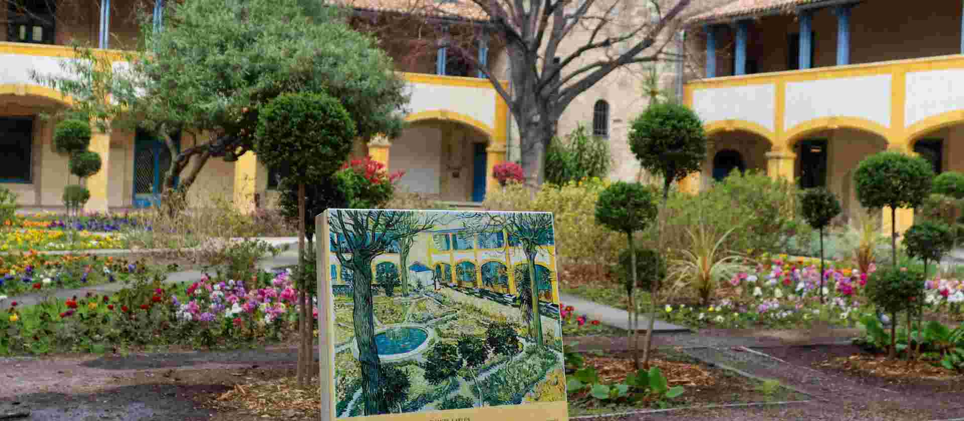 Walking In Van Gogh's Provence